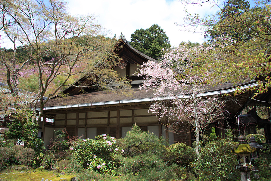 西明寺