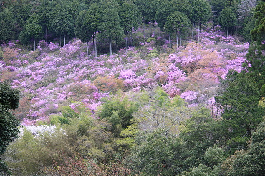 西明寺