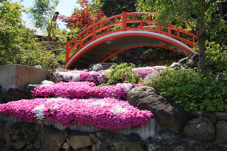 正法寺