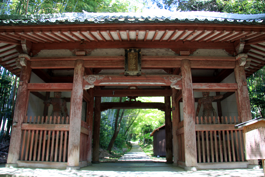 勝持寺（花の寺）