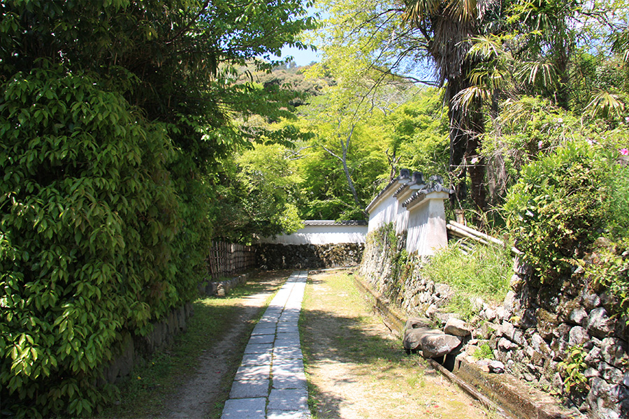 勝持寺（花の寺）