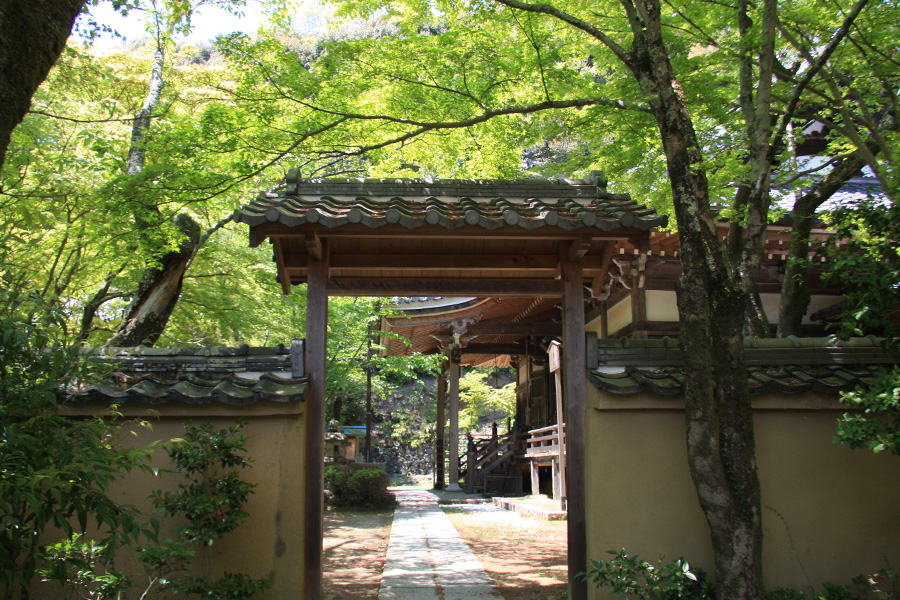 勝持寺（花の寺）