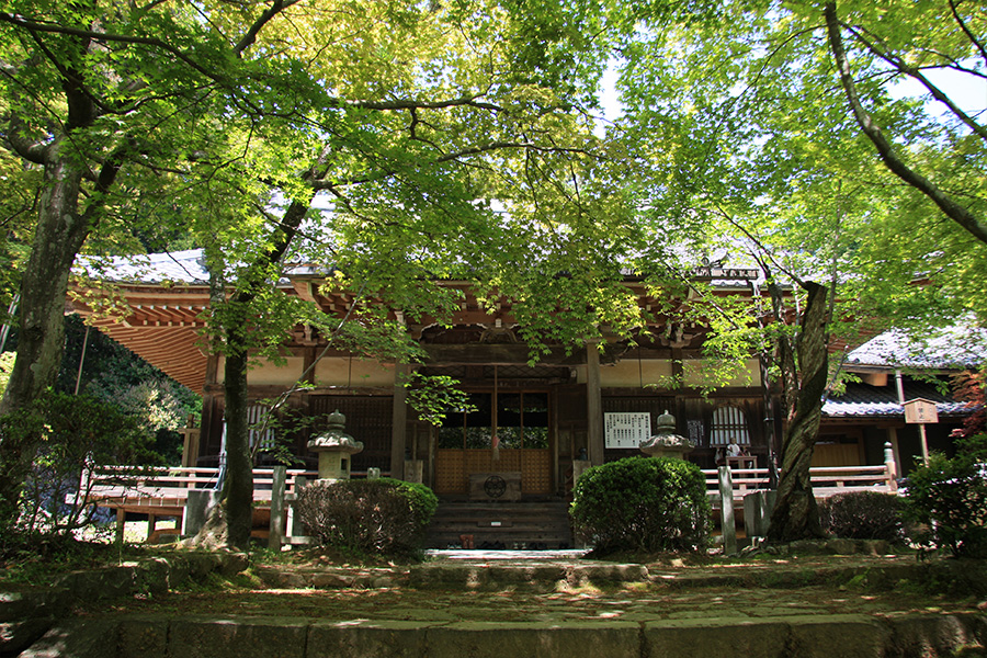 勝持寺（花の寺）