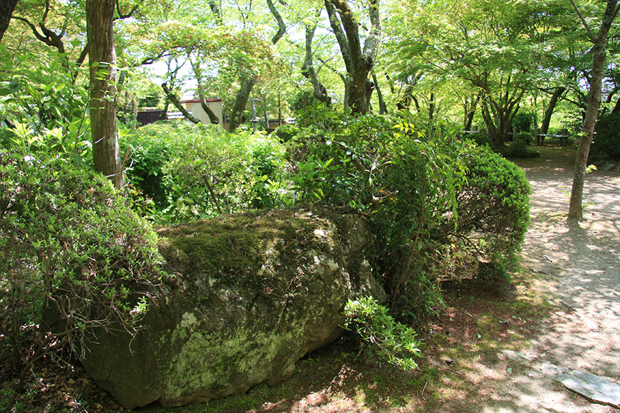 勝持寺（花の寺）