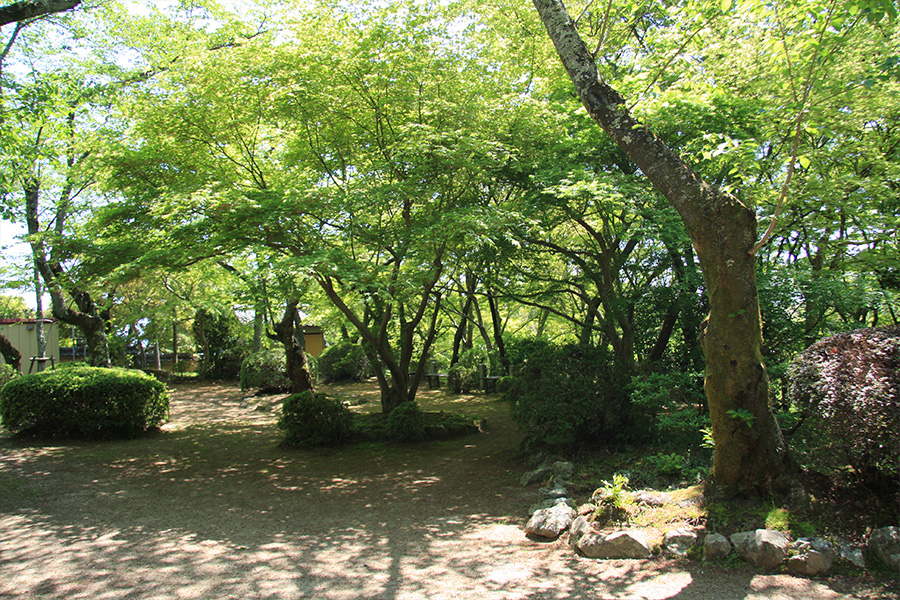 勝持寺（花の寺）