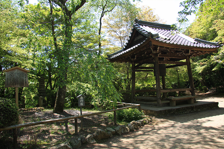 勝持寺（花の寺）