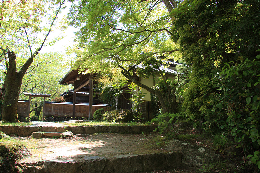 勝持寺（花の寺）