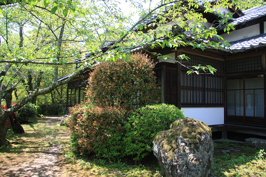 勝持寺（花の寺）