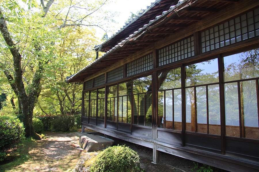 勝持寺（花の寺）