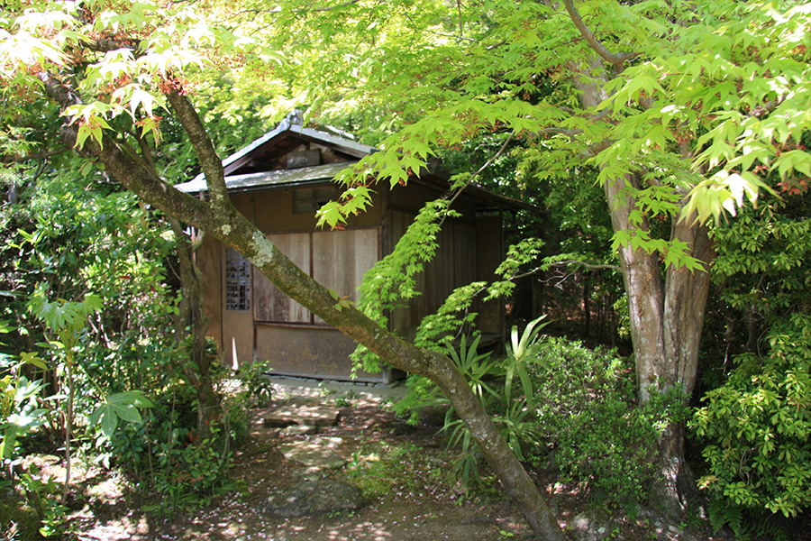 勝持寺（花の寺）