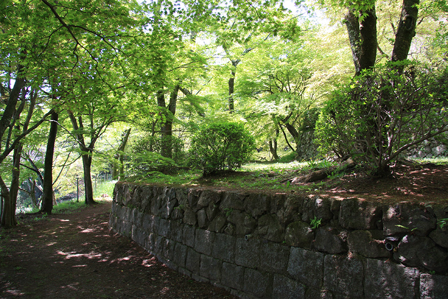 勝持寺（花の寺）