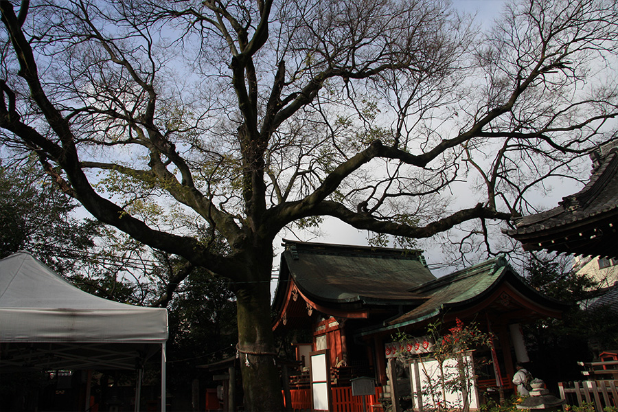 武信稲荷神社