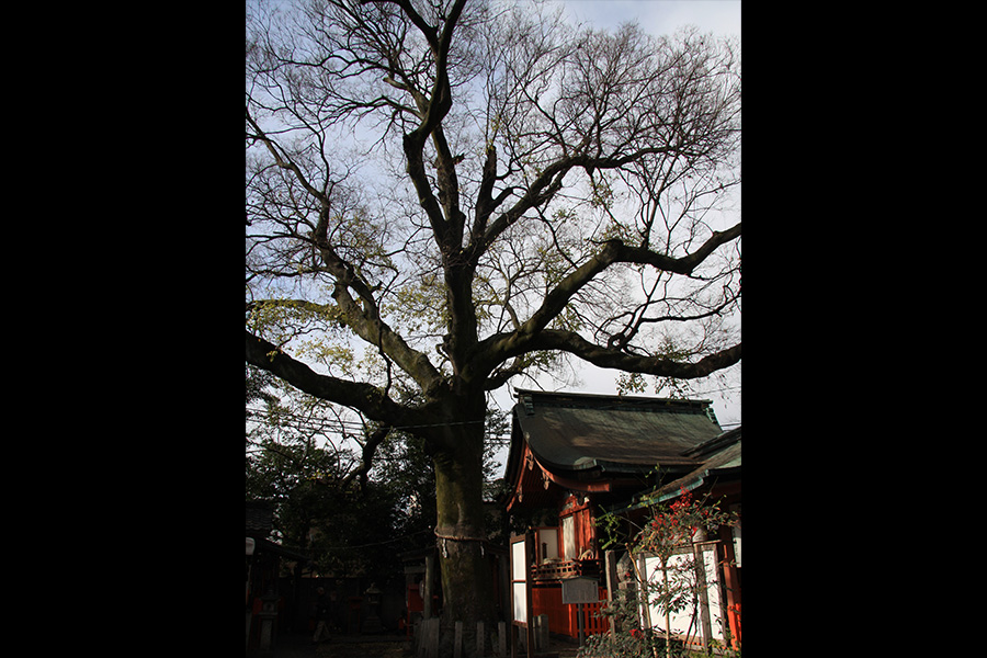 武信稲荷神社