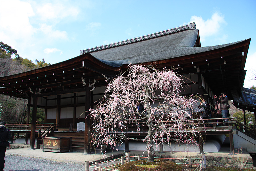 天龍寺