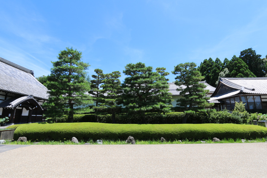 東福寺