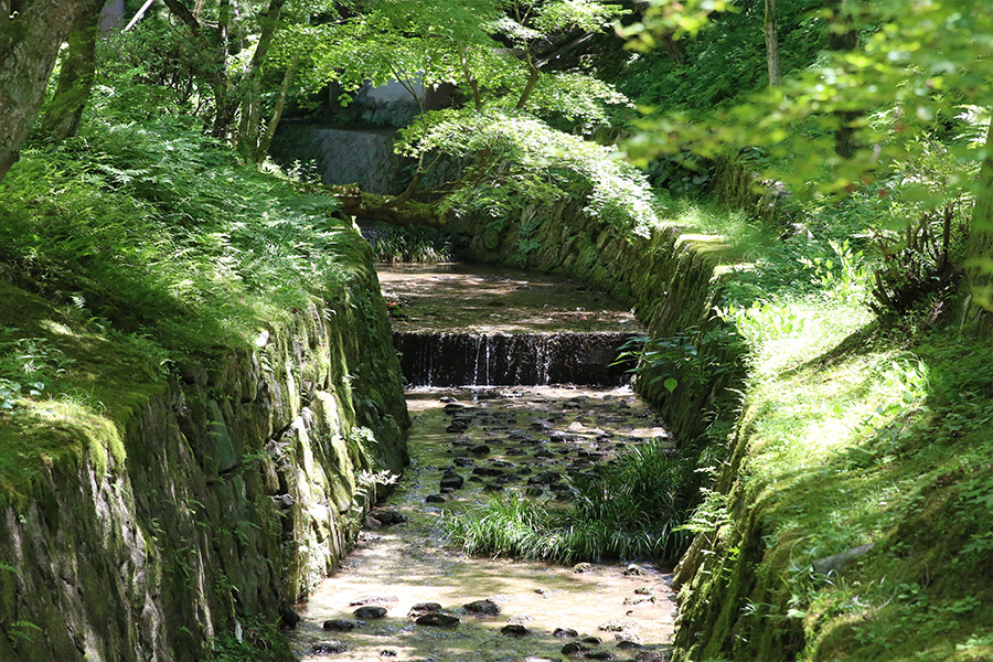 東福寺