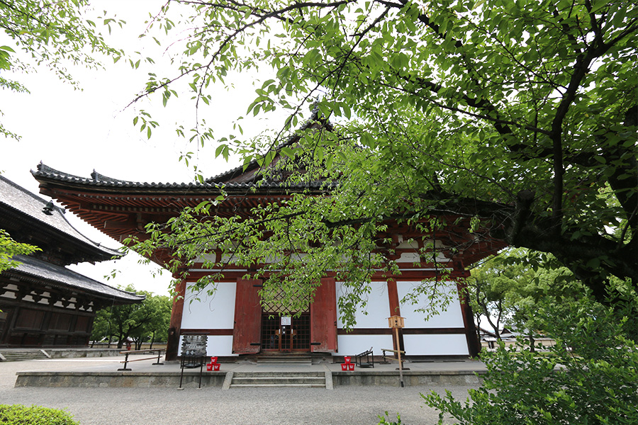 東寺（教王護国寺）