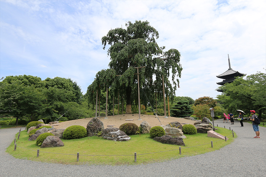 東寺（教王護国寺）