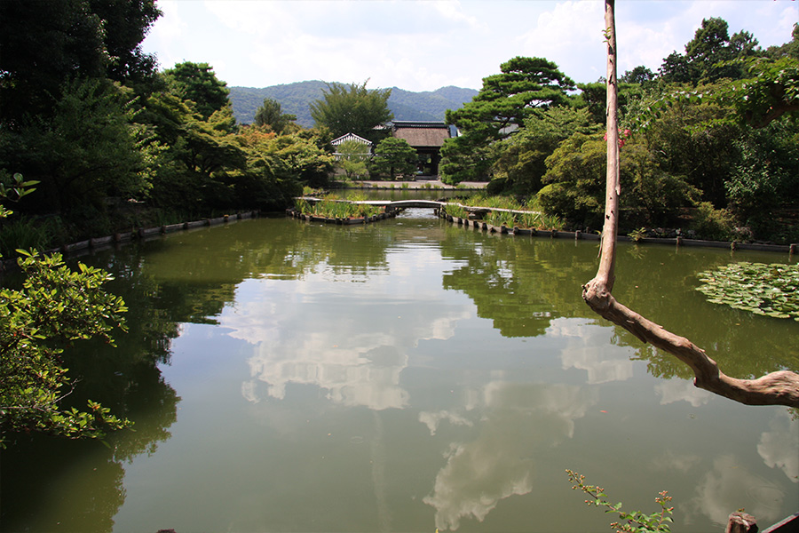 梅宮大社