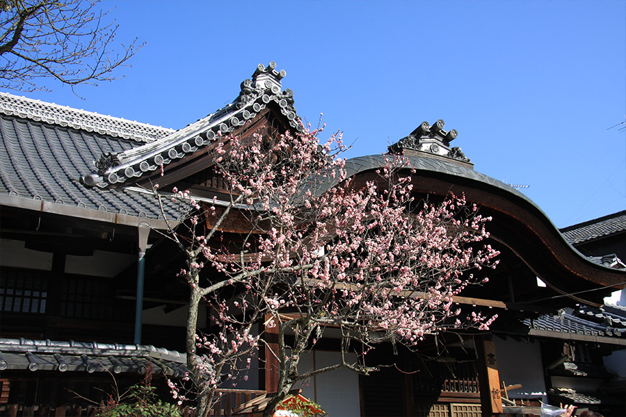 八坂神社