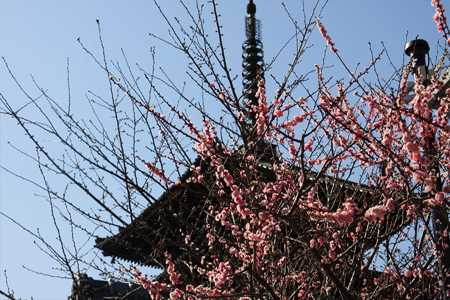 法観寺・八坂の塔