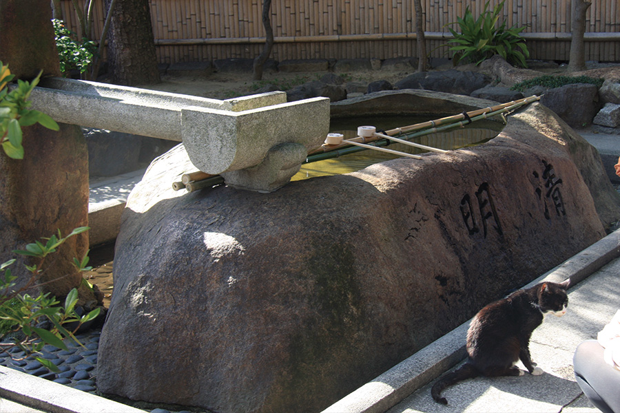 安井金比羅宮