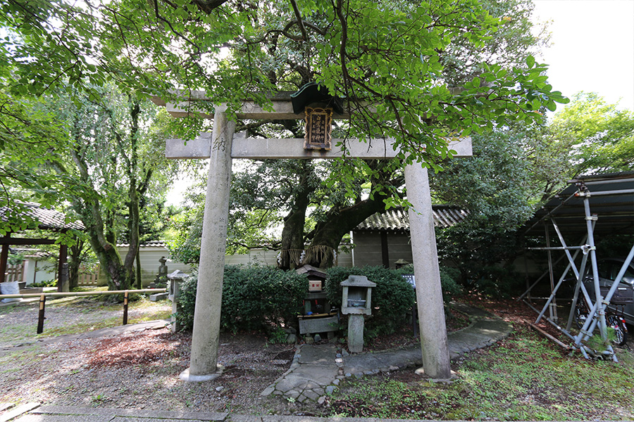 養源院