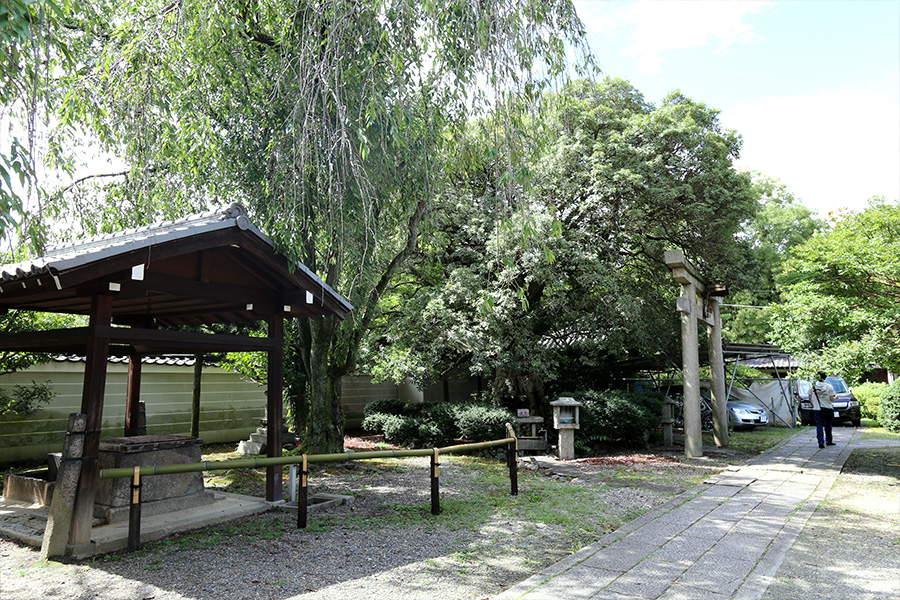 養源院