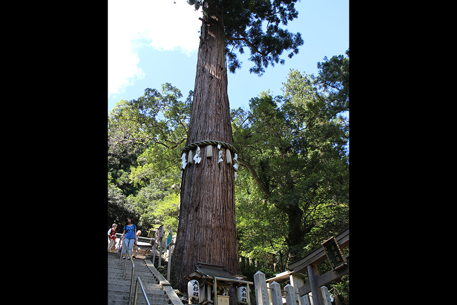 由岐神社