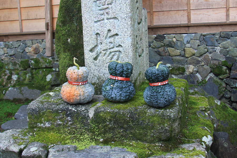 安楽寺：中風まじない鹿ヶ谷カボチャ供養