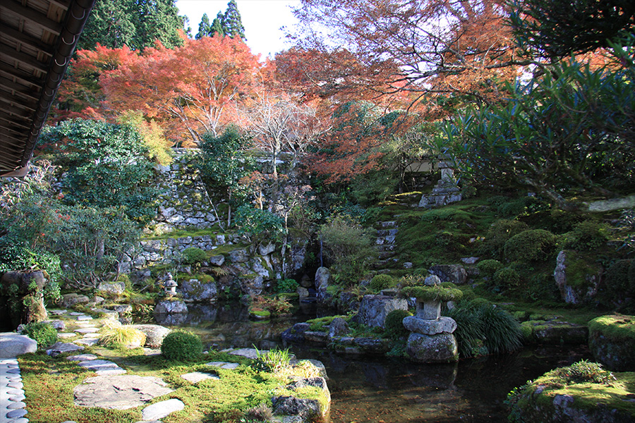 実光院：紅葉