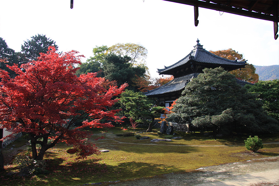 鹿王院：紅葉