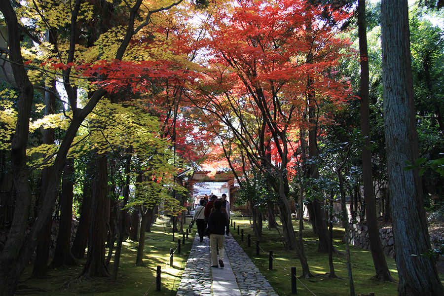 鹿王院：紅葉