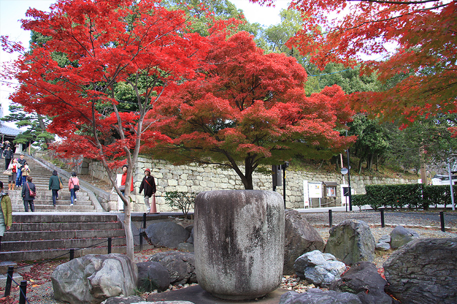 金戒光明寺：紅葉