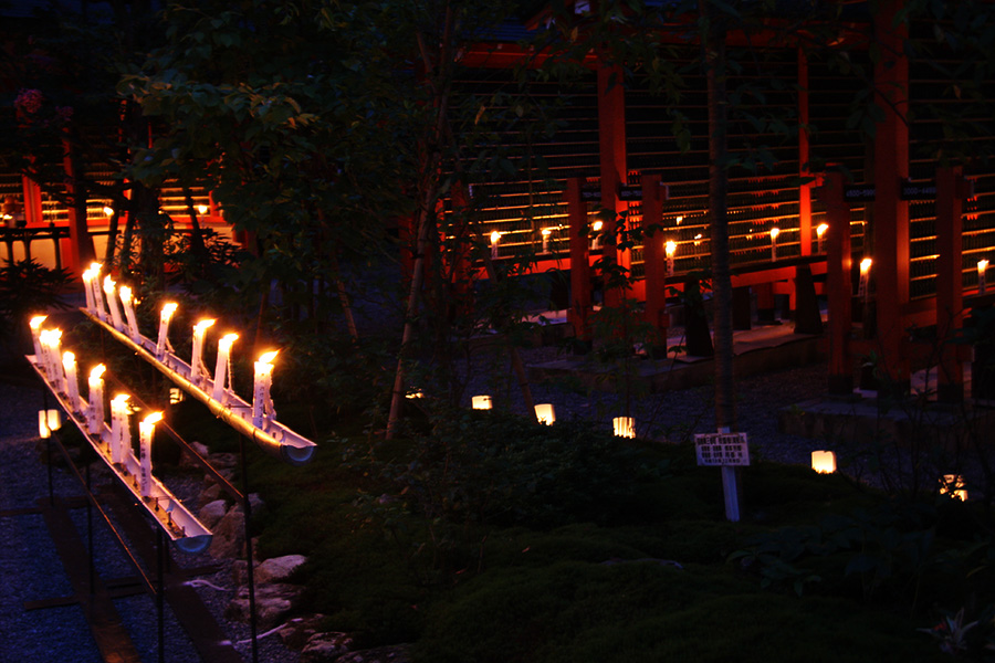 三千院 万燈会