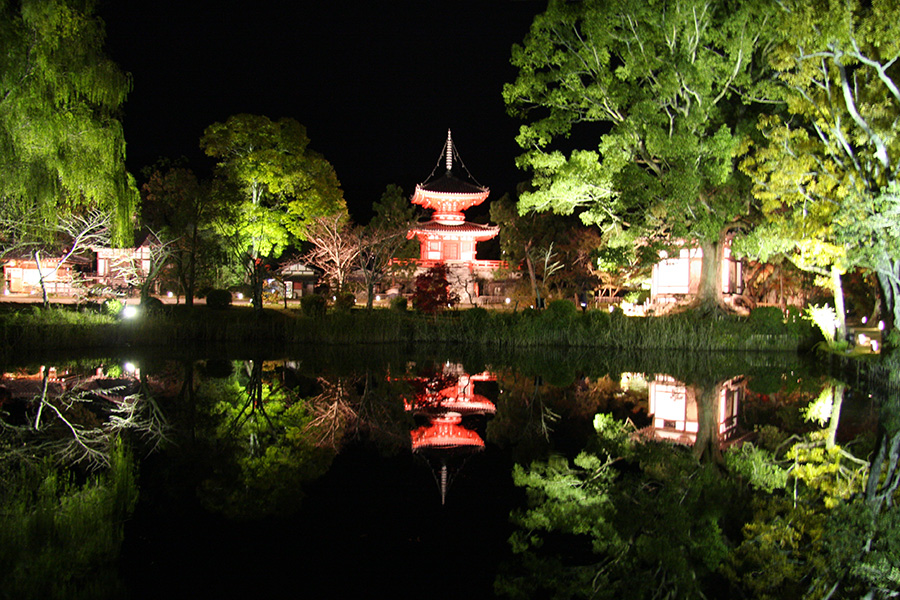 大覚寺：紅葉ライトアップ