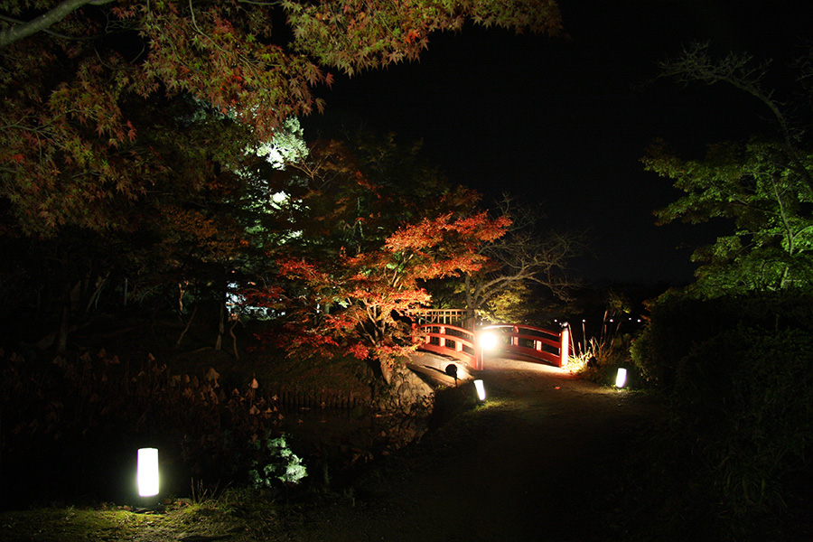 大覚寺：紅葉ライトアップ