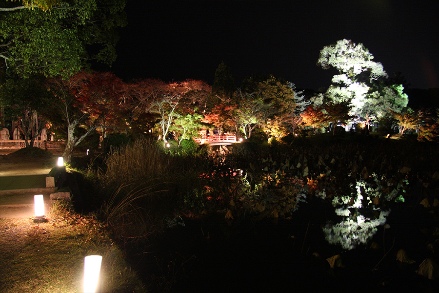 大覚寺：紅葉ライトアップ