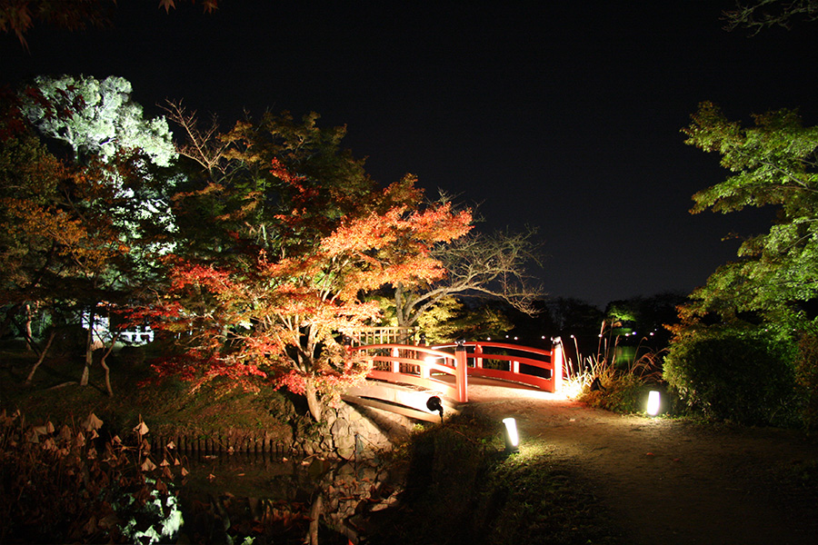 大覚寺：紅葉ライトアップ