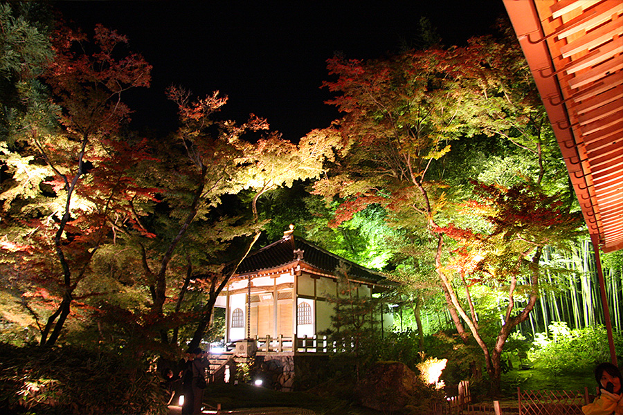 宝厳院：紅葉ライトアップ