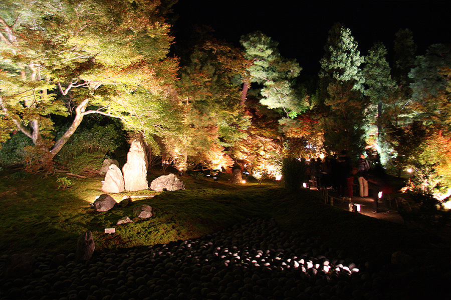 宝厳院：紅葉ライトアップ