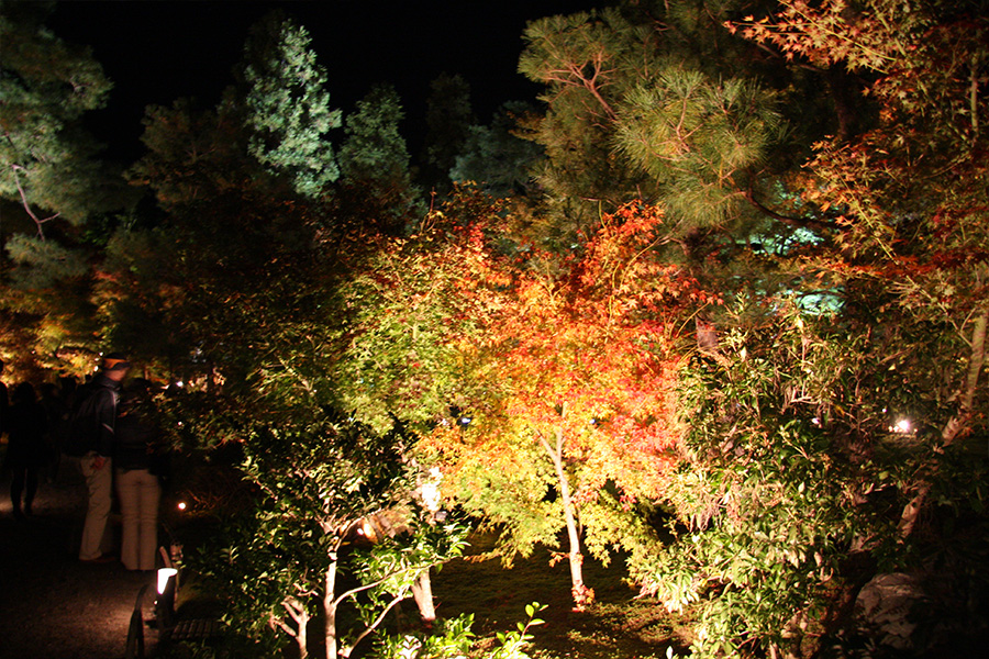 宝厳院：紅葉ライトアップ