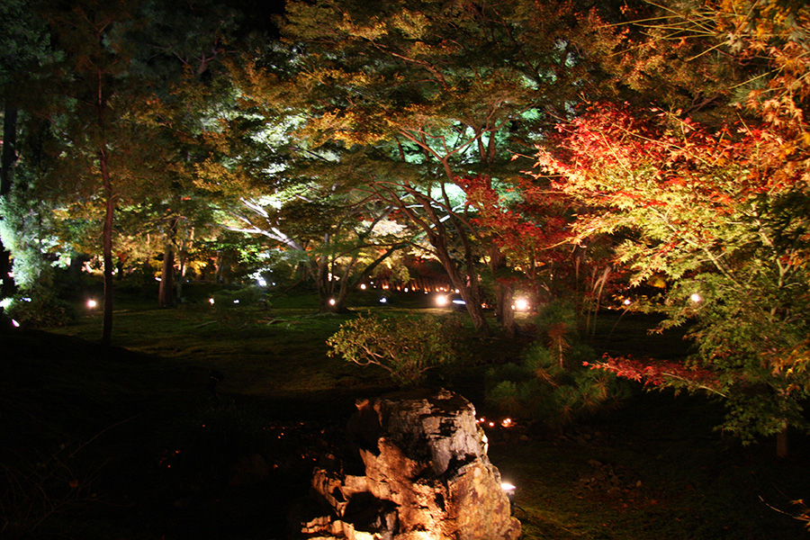 宝厳院：紅葉ライトアップ