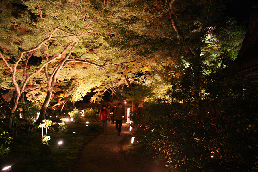 宝厳院：紅葉ライトアップ