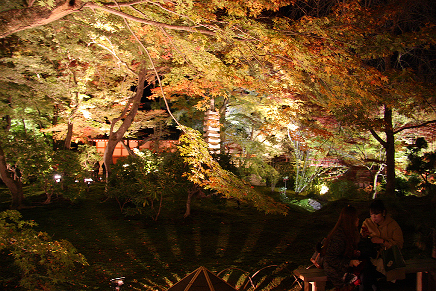 宝厳院：紅葉ライトアップ