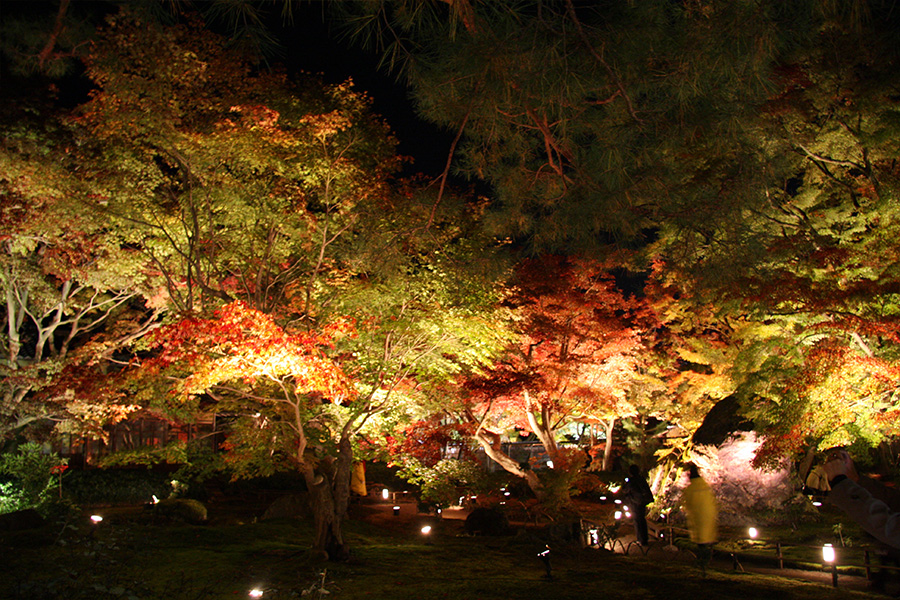 宝厳院：紅葉ライトアップ