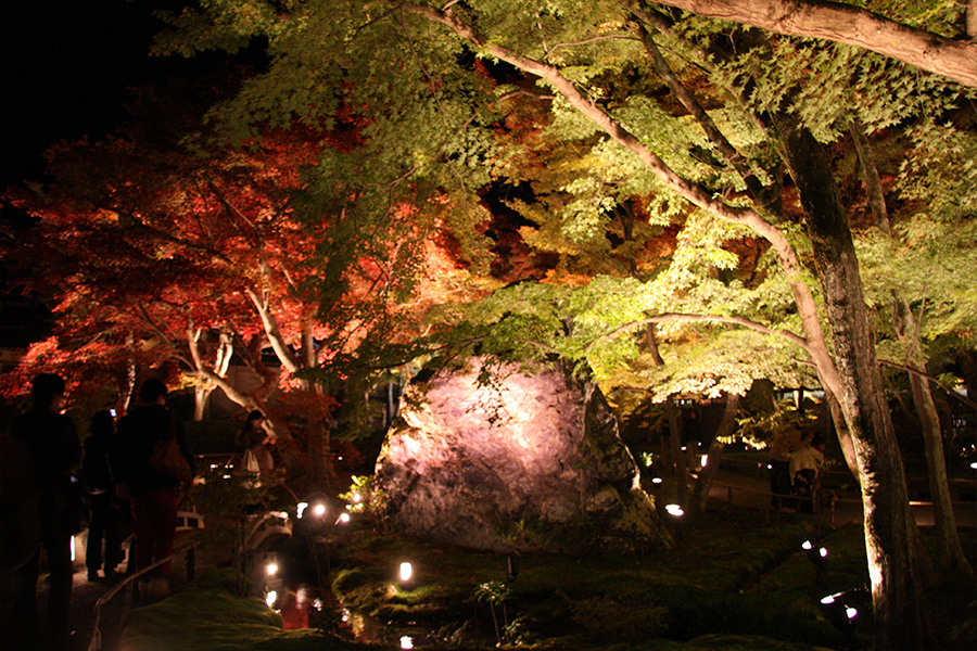 宝厳院：紅葉ライトアップ