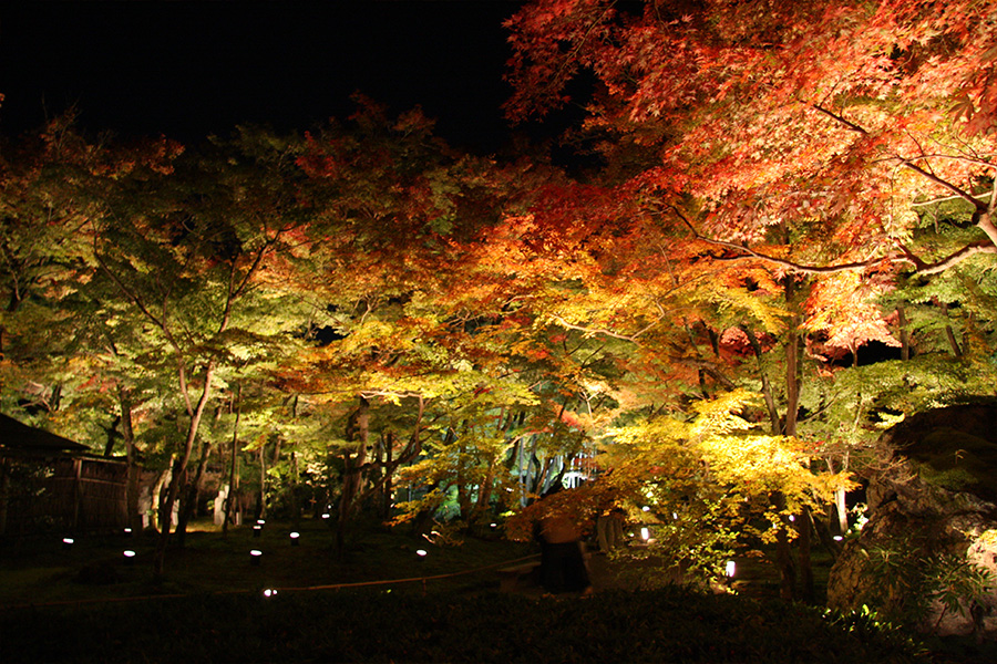 宝厳院：紅葉ライトアップ