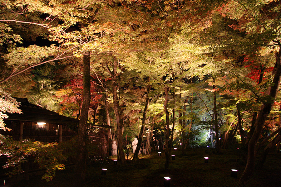 宝厳院：紅葉ライトアップ