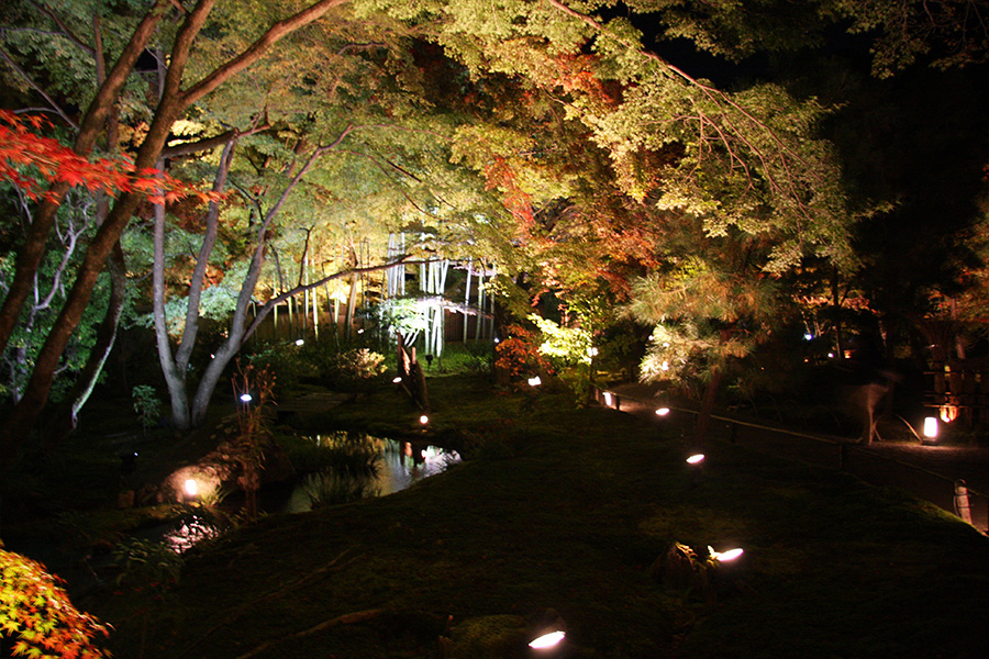 宝厳院：紅葉ライトアップ